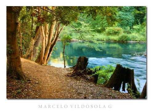 Fotografia de Vildsola Garrig Fotgrafia - Galeria Fotografica: Calendario 2009 - Foto: Ro Cautin