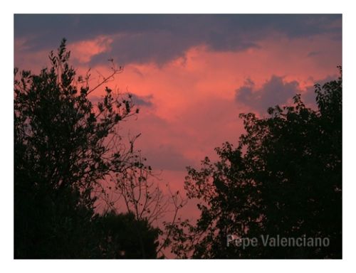 Fotografia de PEPE VALENCIANO - Galeria Fotografica: NATURALEZA VIVA - Foto: AMANECER ROJO