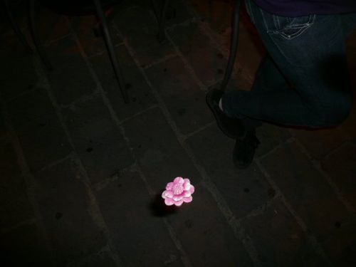 Fotografia de Daay - Galeria Fotografica: Mi vida - Foto: 