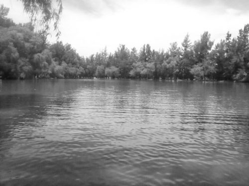 Fotografia de Daay - Galeria Fotografica: Mi vida - Foto: 