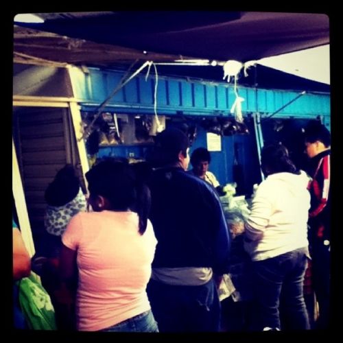 Fotografia de Daay - Galeria Fotografica: Mi vida - Foto: 