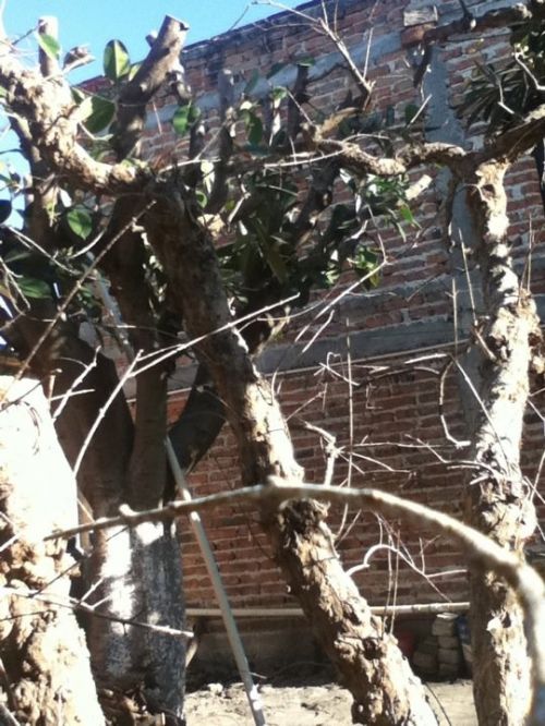 Fotografia de Daay - Galeria Fotografica: Mi vida - Foto: 