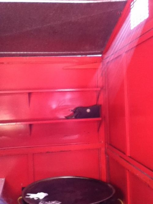 Fotografia de Daay - Galeria Fotografica: Mi vida - Foto: 