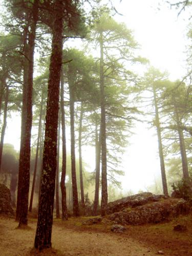 Fotografia de CFZ - Galeria Fotografica: CFZ portfolio - Foto: 