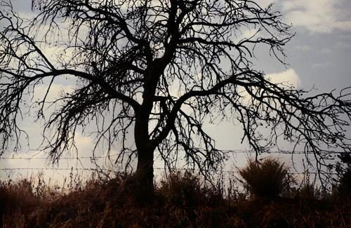 Fotografia de kukala - Galeria Fotografica: paisajes - Foto: 