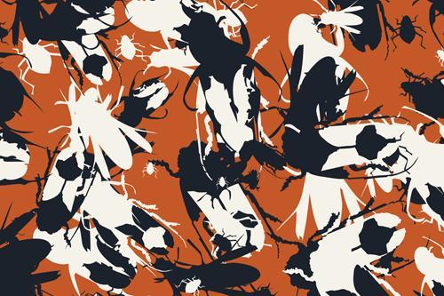 Fotografia de kukala - Galeria Fotografica: dise�os - Foto: 