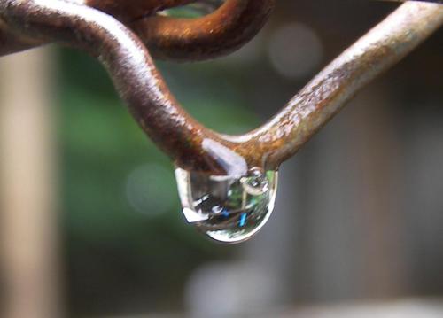 Fotografia de elmanabita - Galeria Fotografica: gotas - Foto: Gotas