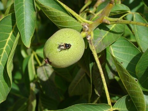Fotografia de DR. VARTAN - Galeria Fotografica: VER PARA VER - Foto: En el momento justo