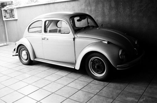 Fotografia de Jes�s Pineda - Galeria Fotografica: Principios de Blanco y Negro - Foto: vocho