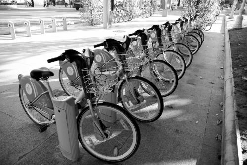 Fotografia de tiri - Galeria Fotografica: felicidad - Foto: esperando