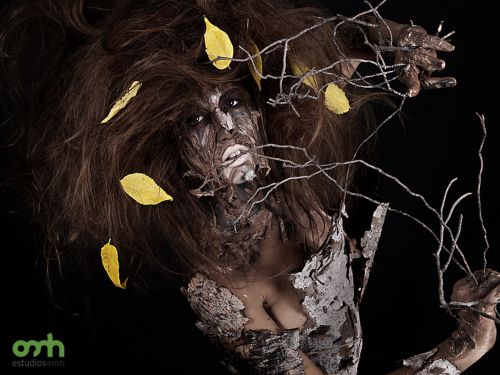 Fotografia de Estudios omh - Galeria Fotografica: Fotografa - Foto: 