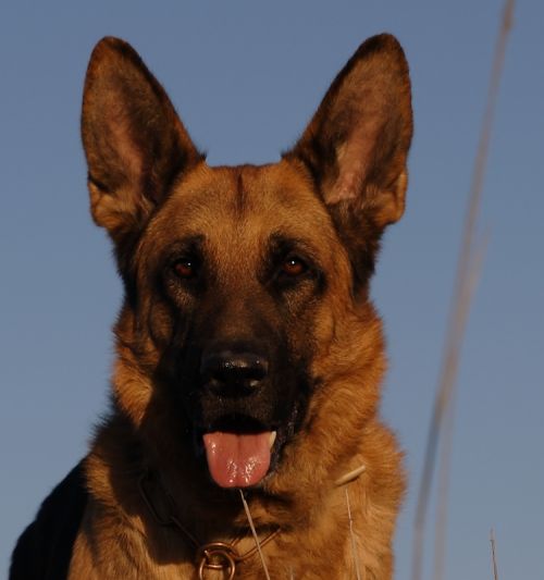 Fotografia de jose - Galeria Fotografica: nacimiento rio mundo - Foto: 