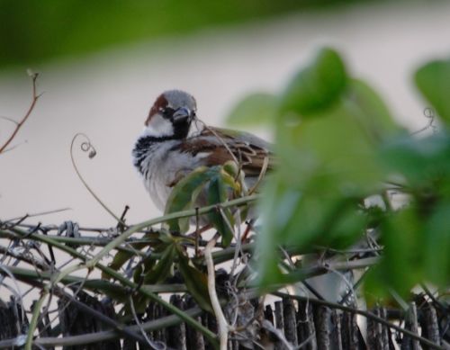 Fotografia de jose - Galeria Fotografica: nacimiento rio mundo - Foto: 