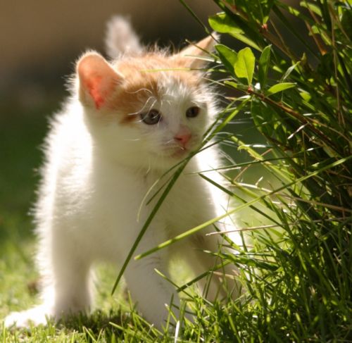 Fotografia de jose - Galeria Fotografica: nacimiento rio mundo - Foto: 