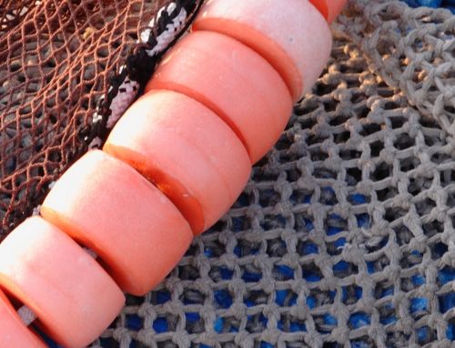 Fotografia de jose - Galeria Fotografica: nacimiento rio mundo - Foto: 