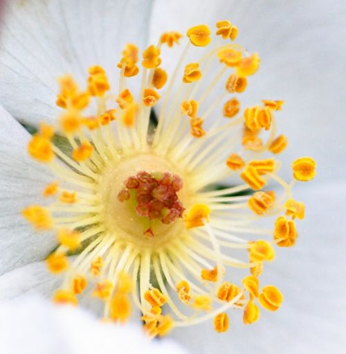 Fotografia de jose - Galeria Fotografica: nacimiento rio mundo - Foto: 