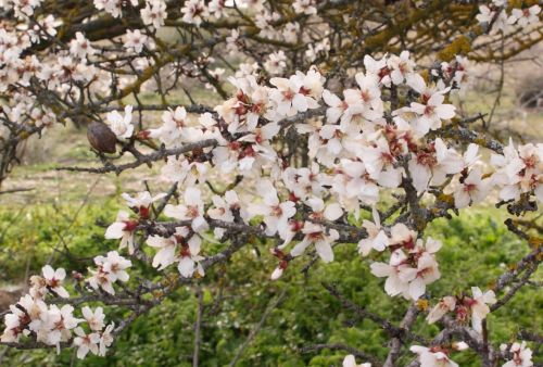 Fotografia de jose - Galeria Fotografica: nacimiento rio mundo - Foto: 