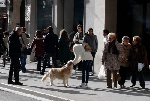 Fotografia de jose - Galeria Fotografica: nacimiento rio mundo - Foto: 