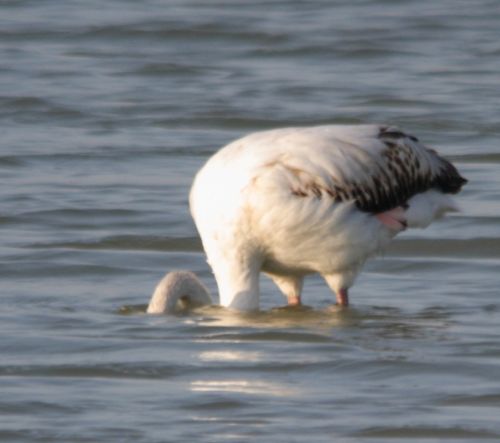 Fotografia de jose - Galeria Fotografica: nacimiento rio mundo - Foto: 