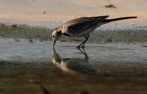 Fotografia de jose - Galeria Fotografica: nacimiento rio mundo - Foto: 