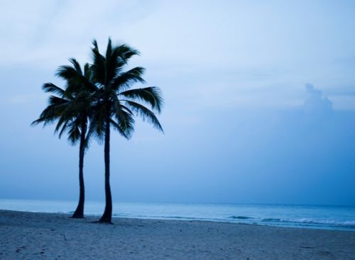 Fotografia de Lichu - Galeria Fotografica: Nicho - Foto: 