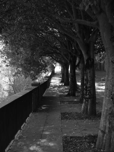 Fotografia de montija - Galeria Fotografica: RECUERDOS Y NOSTALGIAS - Foto: ABRAZO