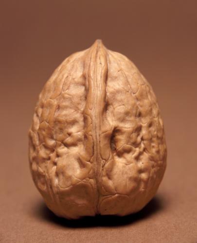 Fotografia de Amit Katzir - Galeria Fotografica: Amit Katzir - Foto: Nues