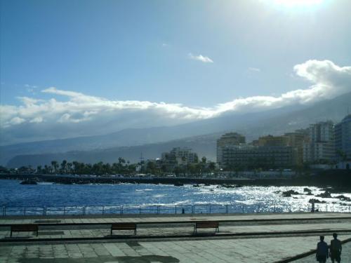 Fotografia de celer - Galeria Fotografica: Tenerife - Foto: 