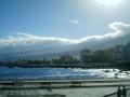 Fotos de celer -  Foto: Tenerife - 