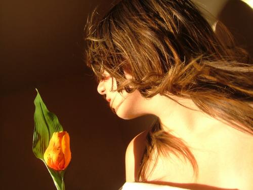 Fotografia de miausi - Galeria Fotografica: Sabana - Foto: tulipan