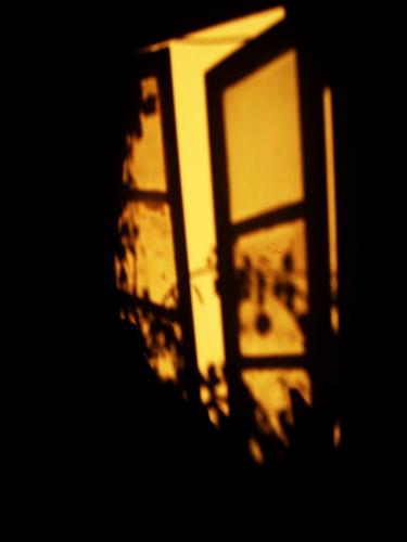 Fotografia de miausi - Galeria Fotografica: Sabana - Foto: ventana