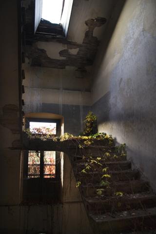 Fotografia de Interfilm Oviedo - Galeria Fotografica: Arrieritos somos... - Foto: 