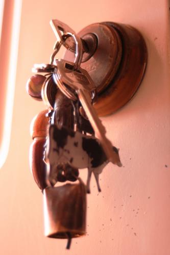 Fotografia de Ergyry - Galeria Fotografica: Detalles - Foto: Abrir