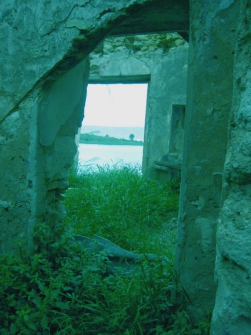 Fotografia de laisa - Galeria Fotografica: 1 - Foto: Tous