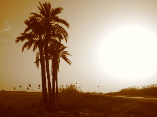 Fotografia de laisa - Galeria Fotografica: 1 - Foto: Hondo