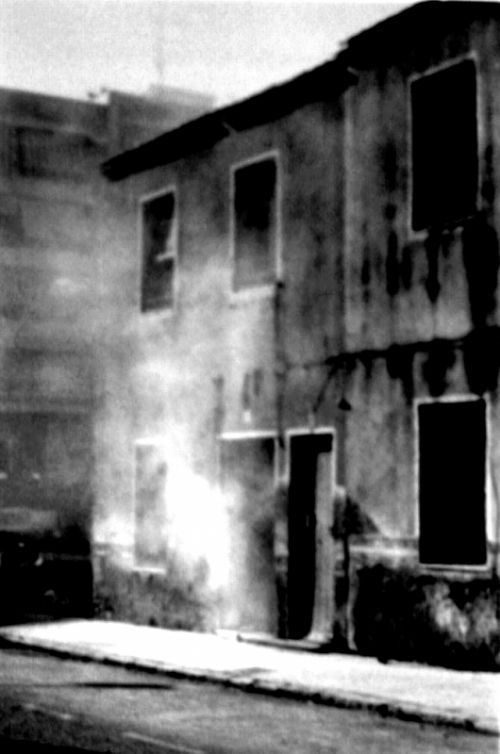 Fotografia de laisa - Galeria Fotografica: 1 - Foto: 