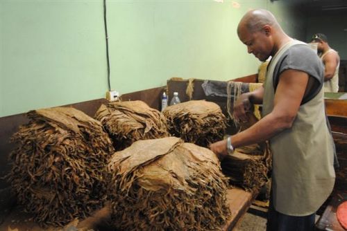 Fotografia de Tino Manuel - Galeria Fotografica: XIII Festival del Habano, en Cuba - Foto: 