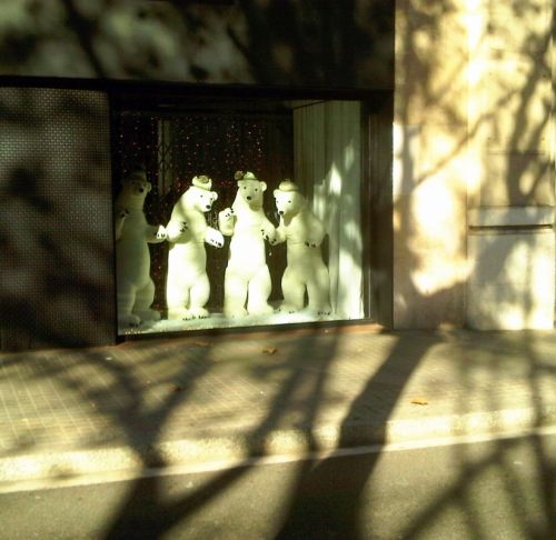 Fotografia de Marc LLovera - Galeria Fotografica: Nokia2mp - Foto: 