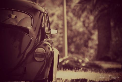 Fotografia de Laura Ferrazzano - Galeria Fotografica: Summer - Foto: 