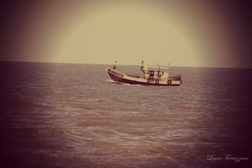 Fotografia de Laura Ferrazzano - Galeria Fotografica: Summer - Foto: 