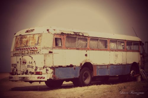 Fotografia de Laura Ferrazzano - Galeria Fotografica: Summer - Foto: 