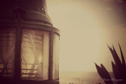 Fotografia de Laura Ferrazzano - Galeria Fotografica: Summer - Foto: 