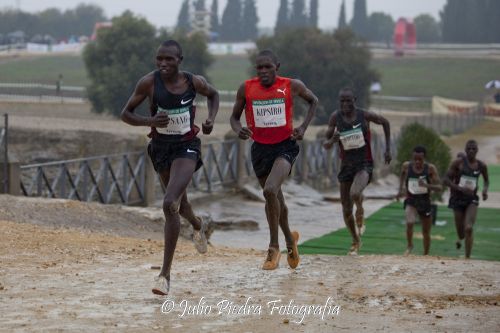 Fotografia de Julio Piedra Fotografa - Galeria Fotografica: Ciclismo y atletismo - Foto: 