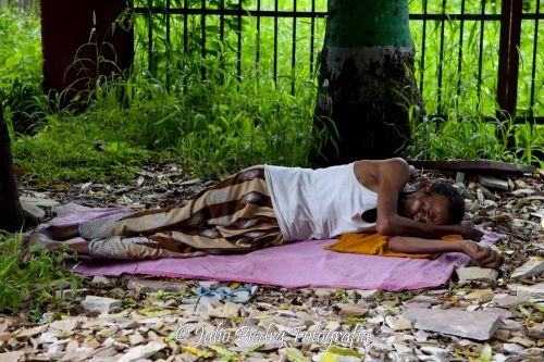 Fotografia de Julio Piedra Fotograf�a - Galeria Fotografica: India 2011 - Foto: 