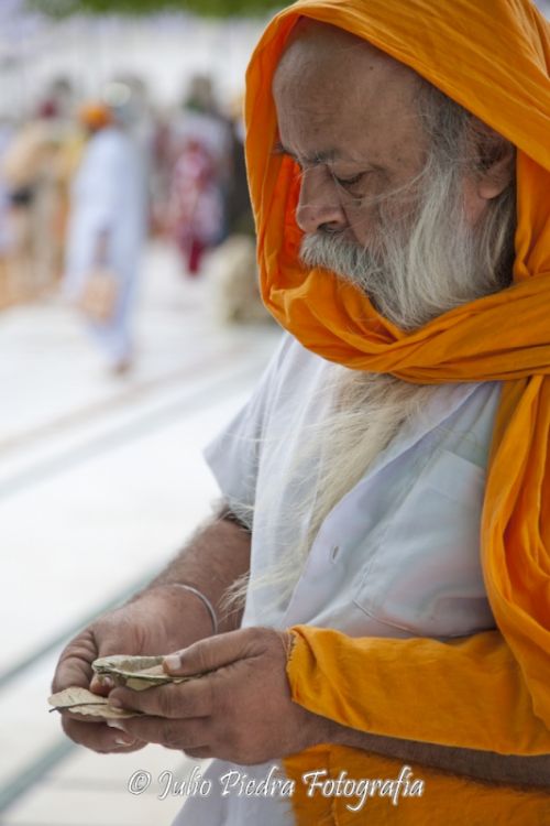 Fotografia de Julio Piedra Fotografa - Galeria Fotografica: India 2011 - Foto: 