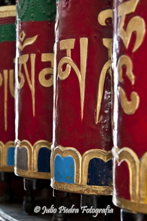 Fotografia de Julio Piedra Fotografa - Galeria Fotografica: India 2011 - Foto: 