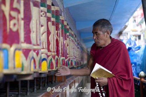 Fotografia de Julio Piedra Fotografa - Galeria Fotografica: India 2011 - Foto: 