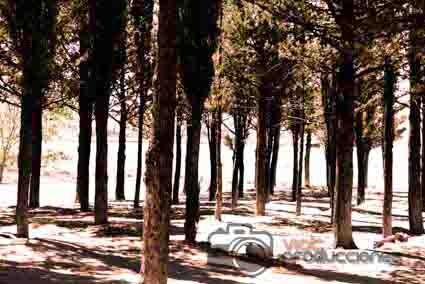 Fotografia de Viat Producciones - Galeria Fotografica: VIAT PRODUCCIONES - Foto: 