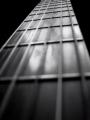 Fotos de molder -  Foto: my guitar - mastil
