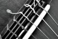 Fotos de molder -  Foto: my guitar - cuerdas